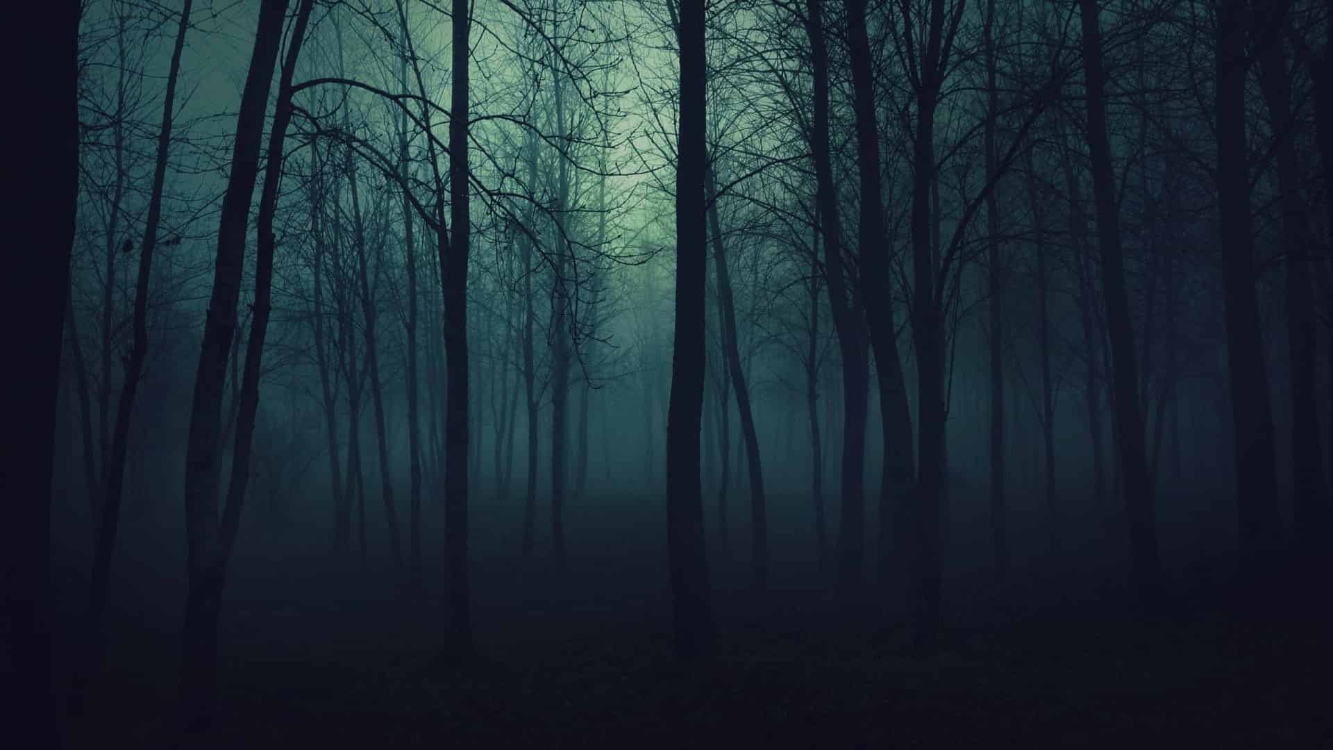 forêt